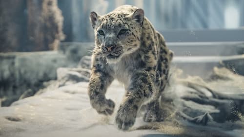 His Dark Materials Season 3 EP 7