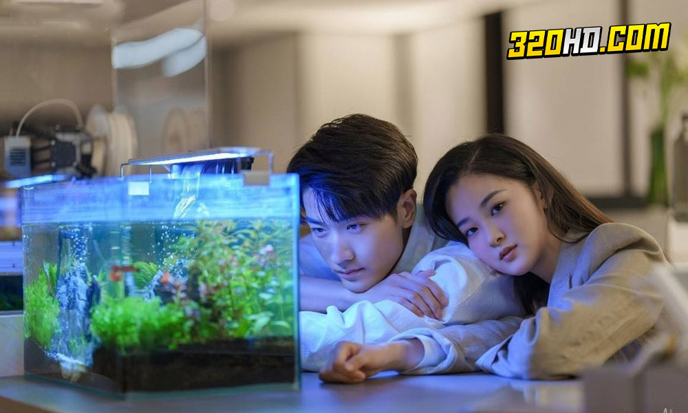 ดูซีรี่ย์จีน Buff in Love ภารกิจมัดใจยัยแฟนเก่า 