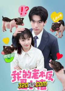 ดูซีรี่ย์จีน My Piggy Boss หัวหน้าฉันเป็นหมูน้อย (2024) พากย์ไทย-ซับไทย EP.1-12 (จบ)