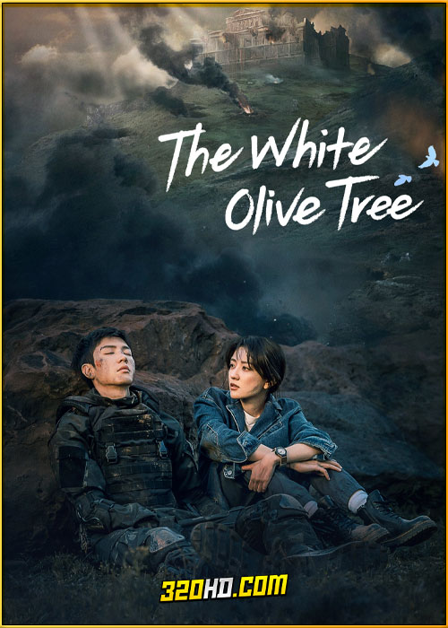 ดูซีรี่ย์ The White Olive Tree ปลูกรักพักใจ ใต้ต้นมะกอกขาว (2025) พากย์ไทย EP.1-38 (จบ)